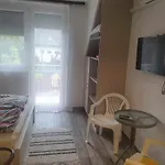 Apartment Farkas *